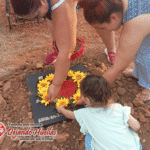 La importancia de un servicio funerario digno para mascotas