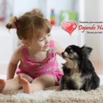 Cómo acompañar a un niño en la pérdida de su mascota