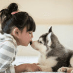 La huella eterna: ideas para recordar a tu mascota