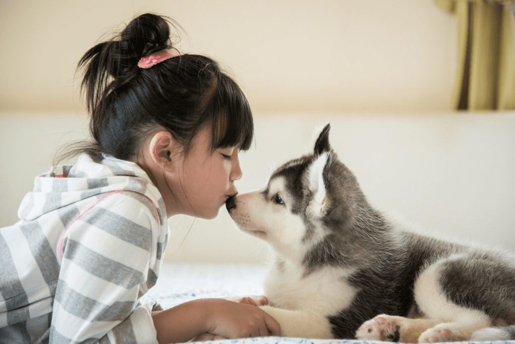 La huella eterna: ideas para recordar a tu mascota