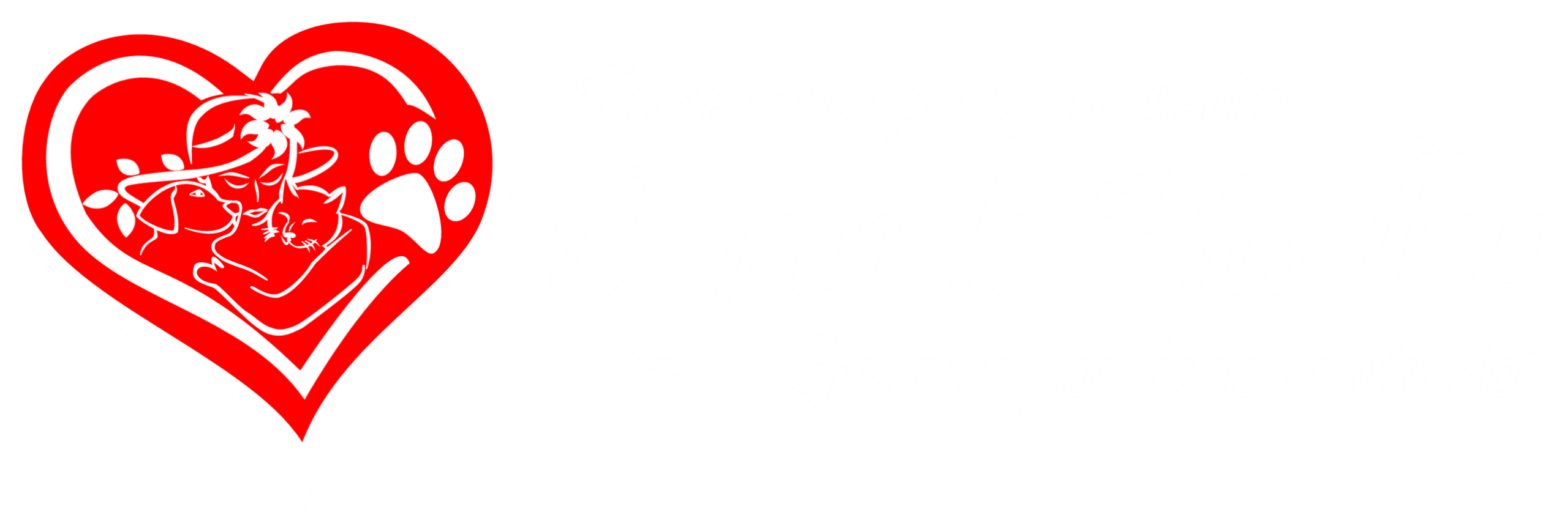 Dejando Huellas | Funeraria para Mascotas en Neiva, Huila y Caquetá